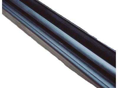 2006 Dodge Durango Weather Strip - 55364081AB