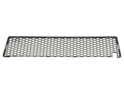 Mopar 5030288AD Grille-Lower