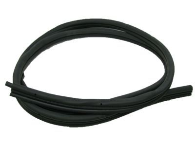 Chrysler Cirrus Weather Strip - 4814781AB