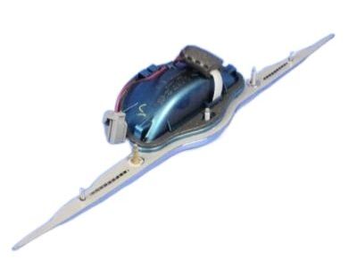 2009 Chrysler PT Cruiser Tailgate Handle - ZK71FQDAD