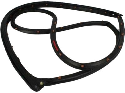 2014 Chrysler 200 Weather Strip - 5074513AD