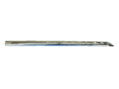Mopar 5182598AA Molding-Front Door