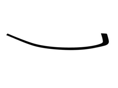Mopar 57010506AH APPLIQUE-Rear Door