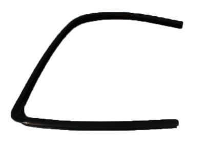 2004 Dodge Ram 3500 Weather Strip - 55276165AD