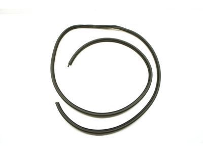 Dodge D150 Weather Strip - 55023781