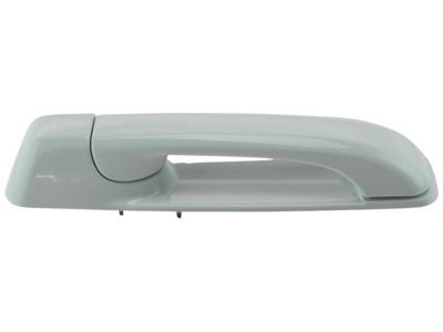 Mopar 1GH18GW7AF Exterior Door