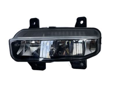 Mopar 68273291AA Fog Lamp