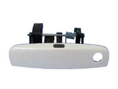2014 Dodge Challenger Door Handle - 1MZ85JWDAG