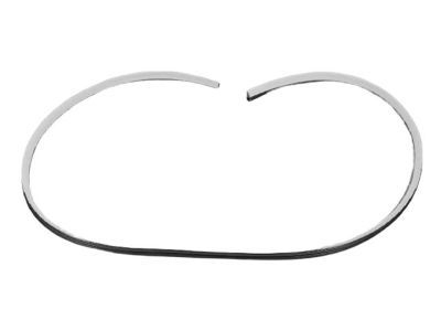 2010 Dodge Charger Weather Strip - UW64DW1AC