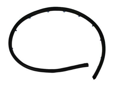 Mopar 55394042AC Seal-Front Door