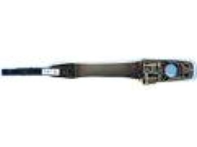 Mopar 1QA21GW7AH Handle-Exterior Door