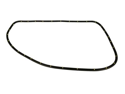 Mopar 68144958AC WEATHERSTRIP-Front Door Opening