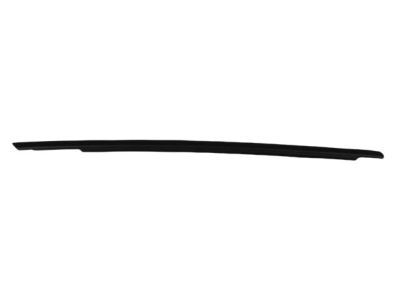 Mopar 57010348AA WEATHERSTRIP-Front Door Belt