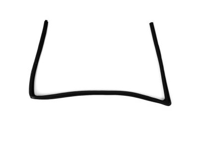Mopar 5074004AG WEATHERSTRIP-Front Door Glass