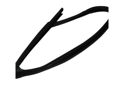 Mopar 5074004AG WEATHERSTRIP-Front Door Glass