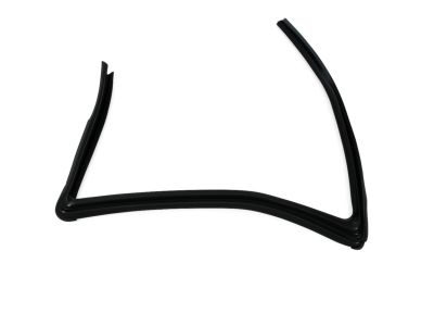 Dodge Avenger Door Seal - 5074018AG