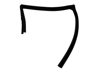 Mopar 5074018AG WEATHERSTRIP-Rear Door Flush Glass