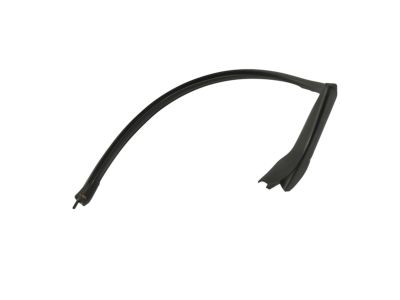 Dodge Viper Weather Strip - 68096357AD