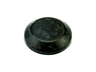 MB882036 - Genuine Mopar Nut-Door Glass