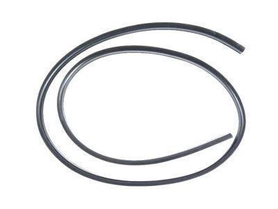 2010 Dodge Avenger Weather Strip - 1DZ06XXXAE