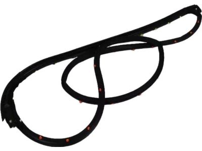 Mopar 5074263AE WEATHERSTRIP-Front Door Mounted