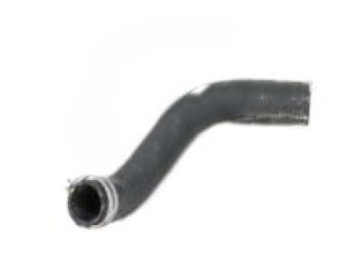 2001 Dodge Durango Radiator Hose - 52029195AD