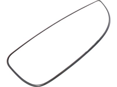 Mopar 68095309AA Exterior