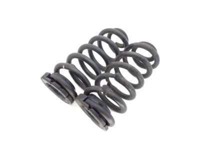 2019 Jeep Grand Cherokee Coil Springs - 68285755AA