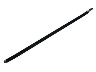 2020 Dodge Challenger Weather Strip - 55399123AG