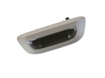 2017 Chrysler Pacifica Tailgate Handle - 5RP06JSCAA