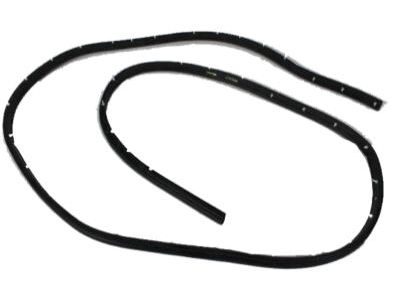 Dodge Ram Wagon Weather Strip - 4217552