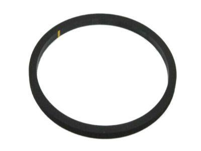 2017 Ram 2500 Water Pump Gasket - 4429698