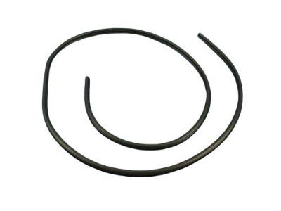 2016 Dodge Charger Door Seal - 1KW33DX9AH