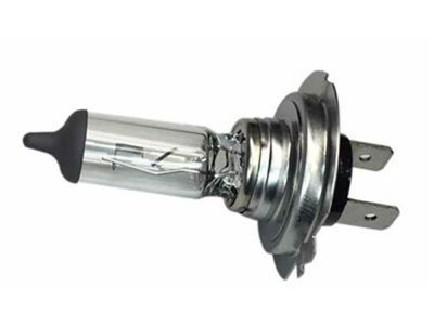 Ram ProMaster 3500 Headlight Bulb - L00000H7LL