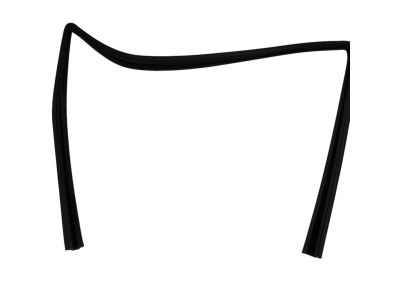 Dodge Window Run - 55399169AE