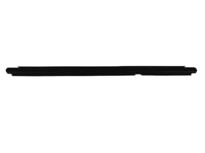 Mopar 55396704AF WEATHERSTRIP-Rear Door Belt