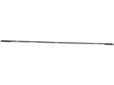 Mopar 57010502AB APPLIQUE-Rear Door