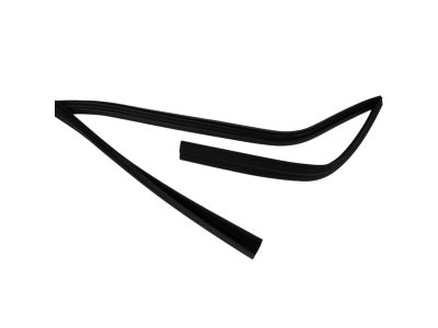 Mopar 55399190AE WEATHERSTRIP-Front Door Glass Run