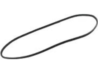 Mopar 55399256AB WEATHERSTRIP-Front Door Secondary