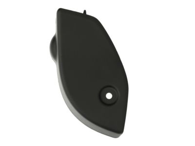 Mopar 1RJ32DX9AD Cover-Lamp Opening