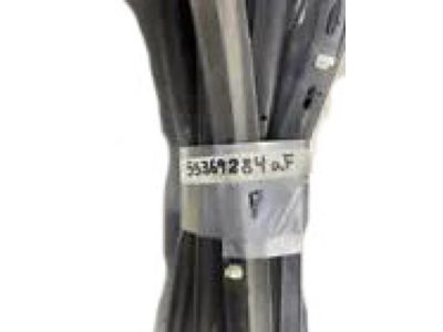 2020 Ram 4500 Door Seal - 55369284AF