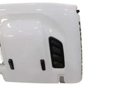 Mopar 68281965AE Hood Panel