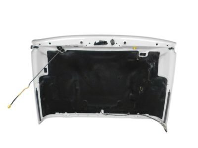 Mopar 68281965AE Hood Panel