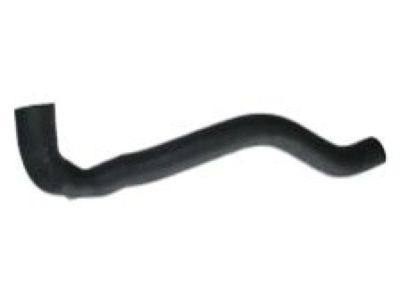 1989 Jeep Wrangler Radiator Hose - 52003911