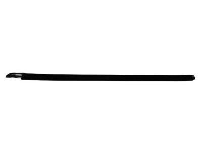 Mopar 55399122AF WEATHERSTRIP-Front Door Belt Outer