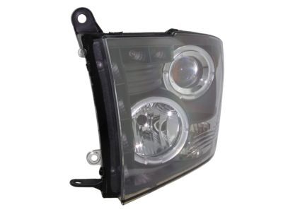 Mopar 68276122AA Park And Turn Headlamp