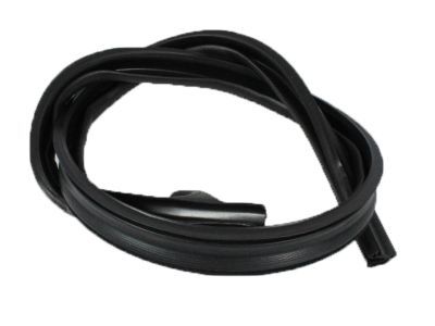 2000 Dodge Ram 3500 Weather Strip - 55275436AE