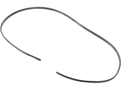Mopar 68289876AA Seal-SUNROOF