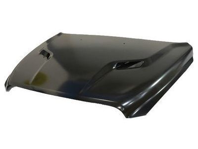 Mopar 68160235AE Hood Panel