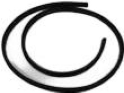 Chrysler 200 Door Seal - 1DZ06XXXAF